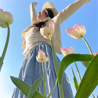 太空狗:热带冒险