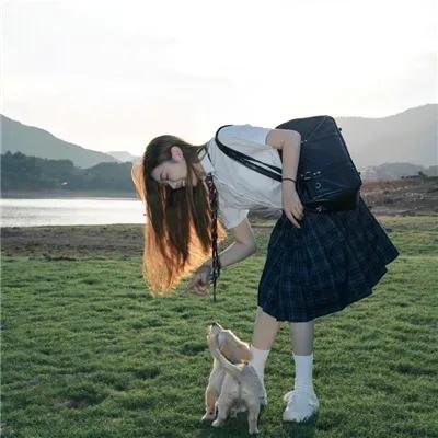 跳跳羊